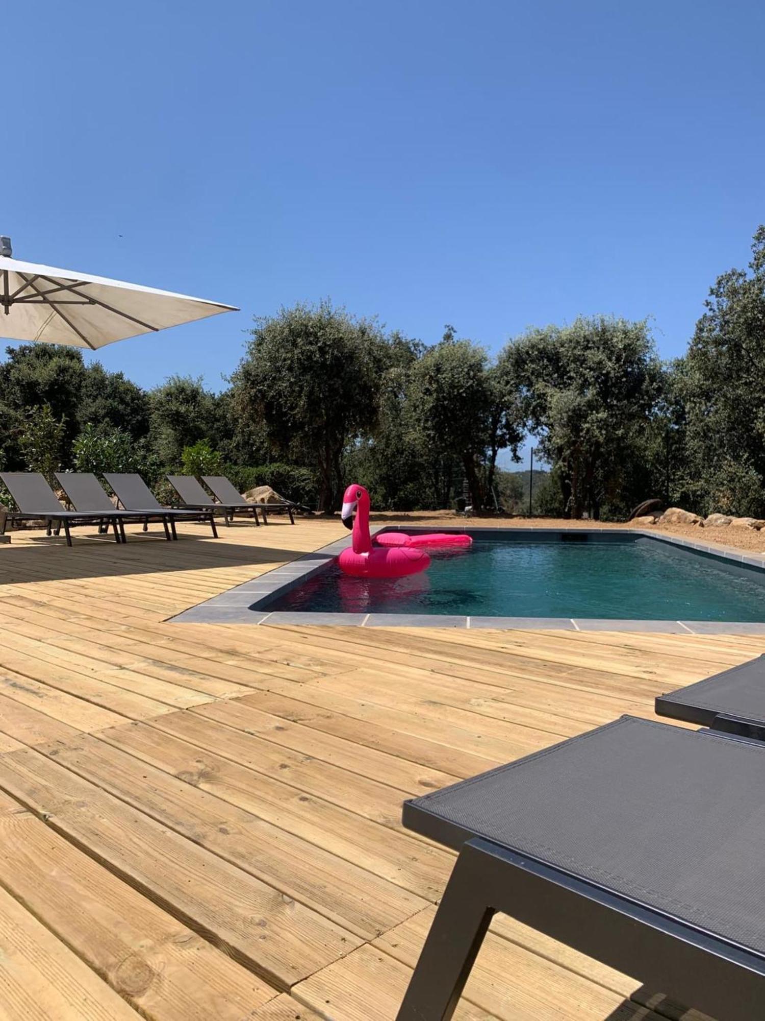 Residence 3 Etoiles Pietra Gemina - Appartements De Vacances, Au Calme, Avec Piscine Calenzana Exteriér fotografie